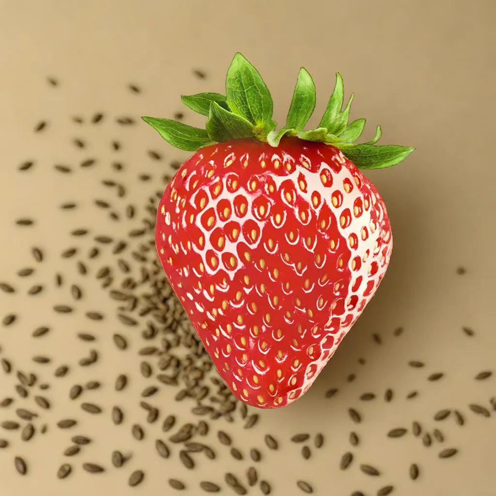 Strawberry seeds for easy planting and home gardening