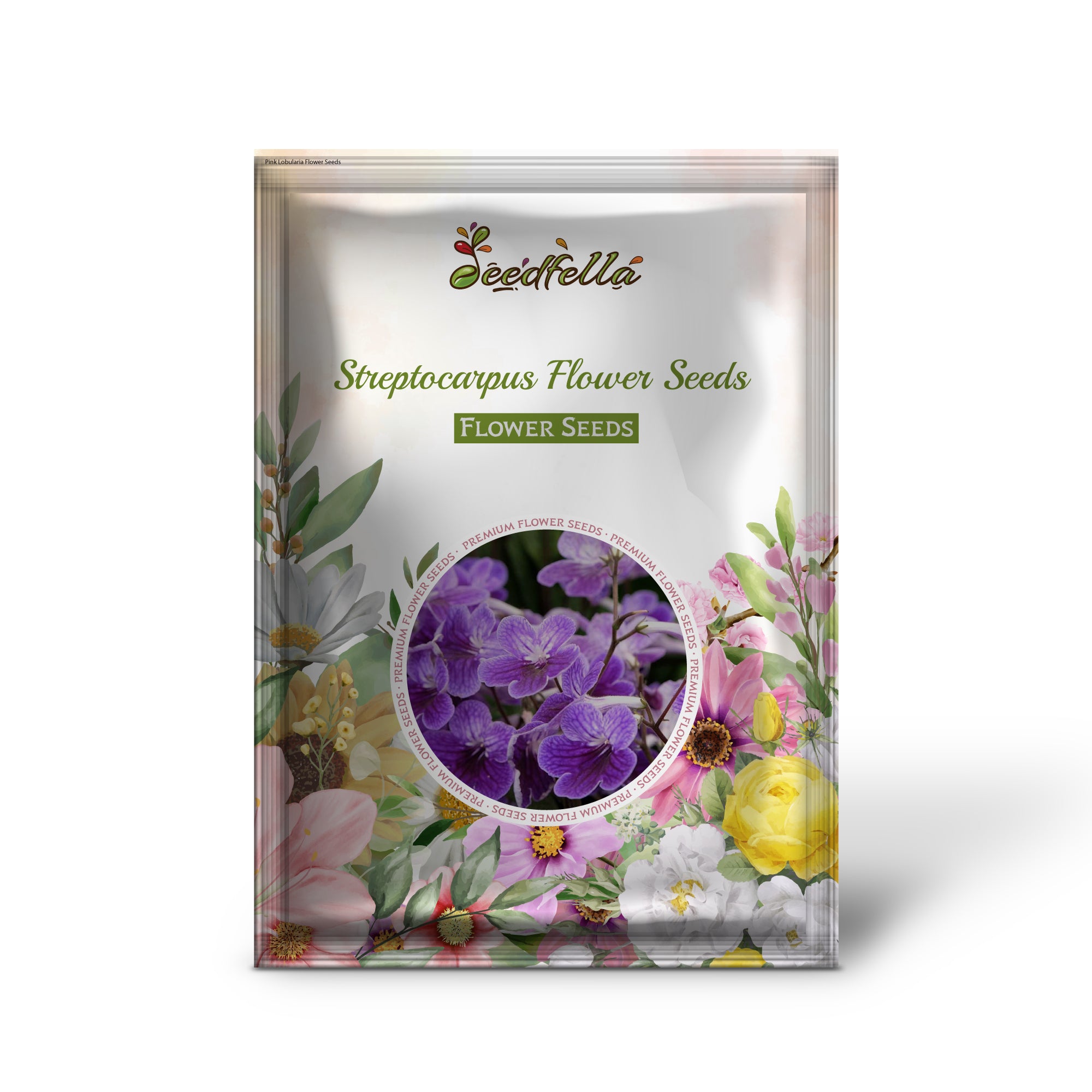 Streptocarpus Seeds For Planting