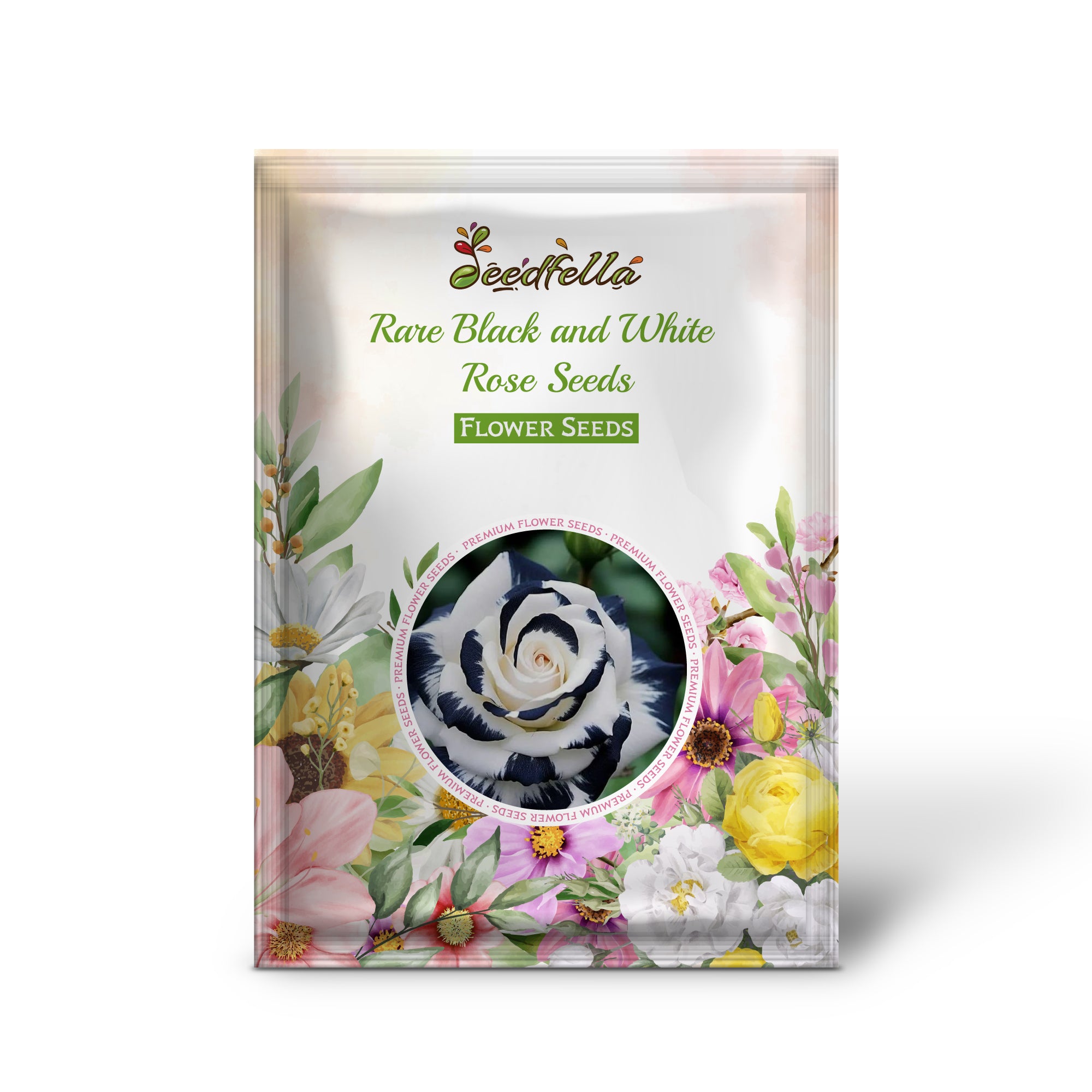 Striking Black & White Rose Blooms for Garden Decoration