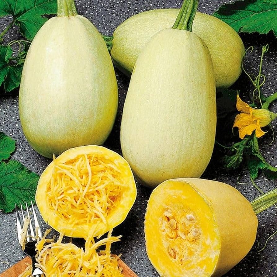 Unique stringy-flesh squash seeds for gardening