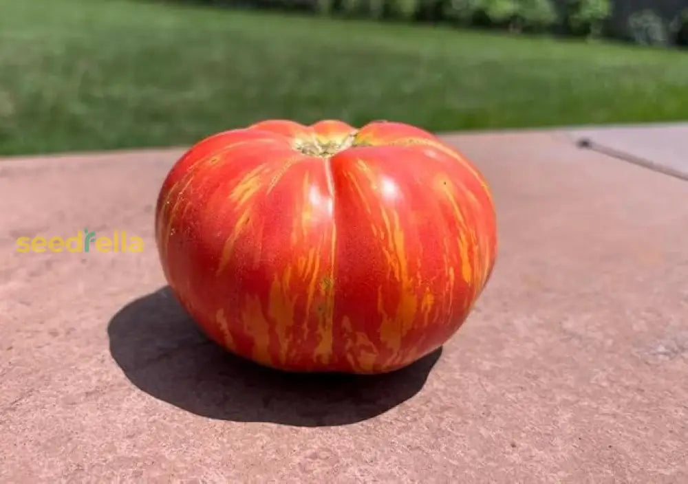 Striped Tomato Planting Vegetable Seeds