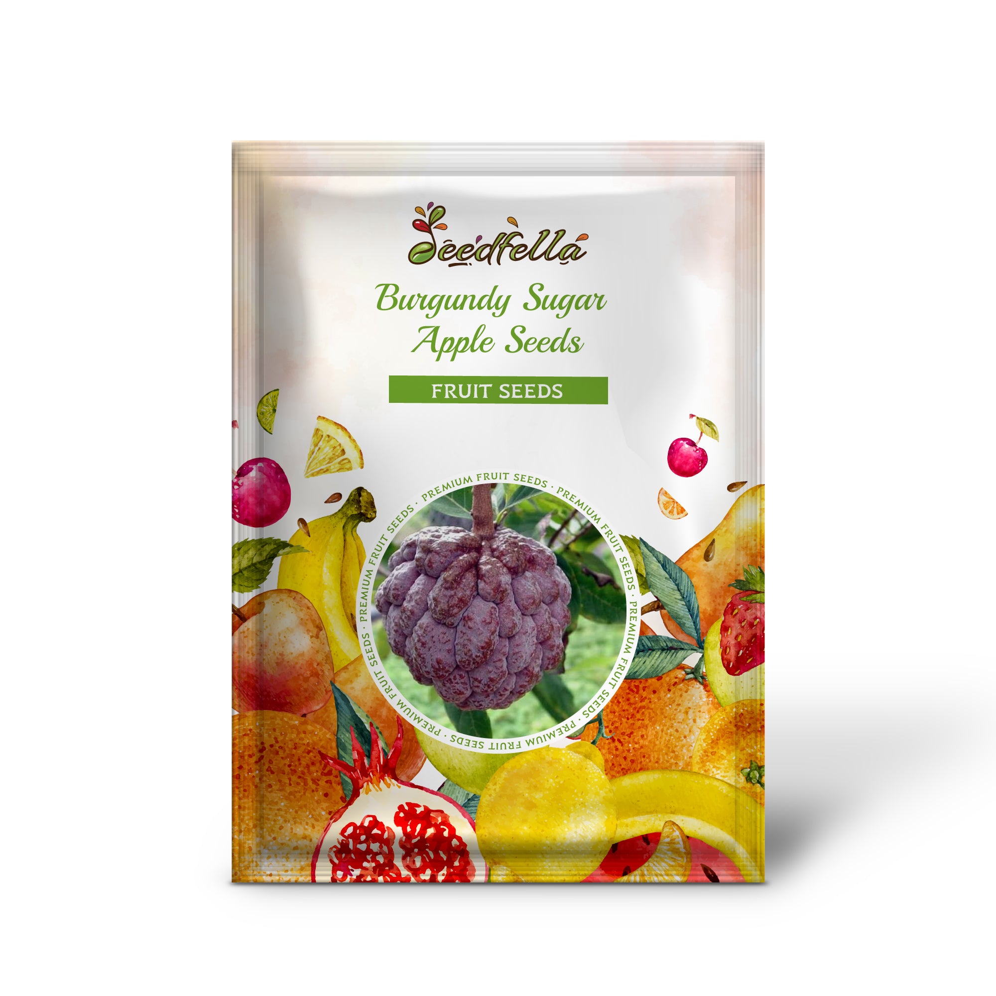 Sugar Apple Seedlings Growing in Pots