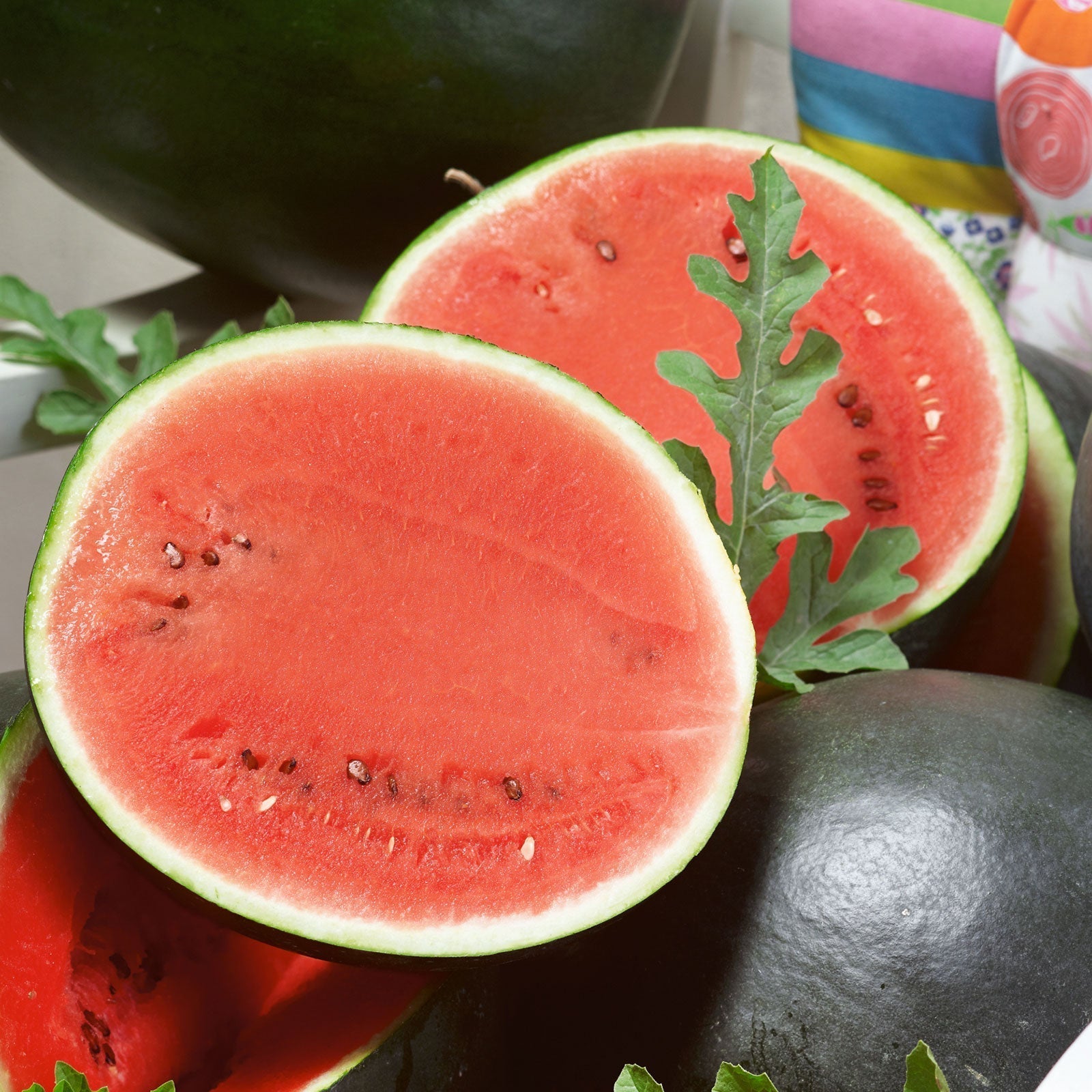 Sugar Baby Bush watermelon seeds for planting