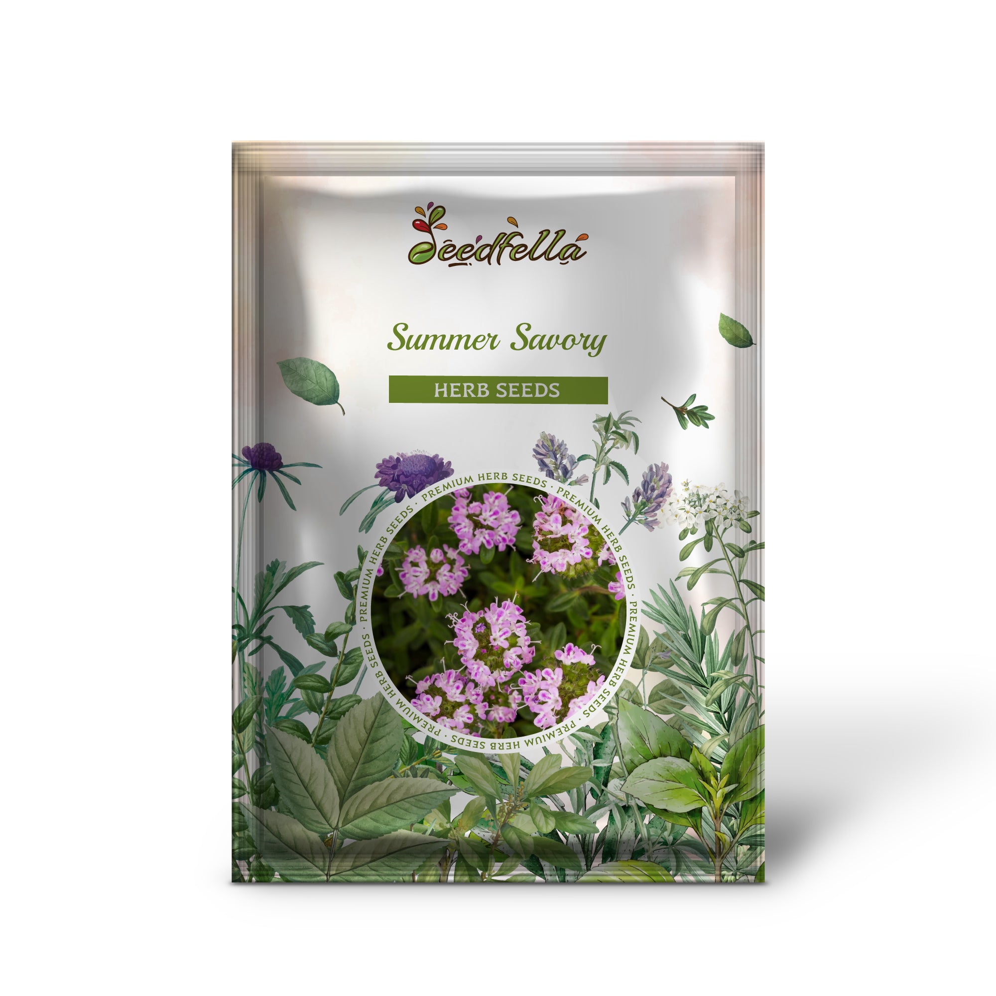 Summer Savory seeds growing plants with purple-tinted flowers