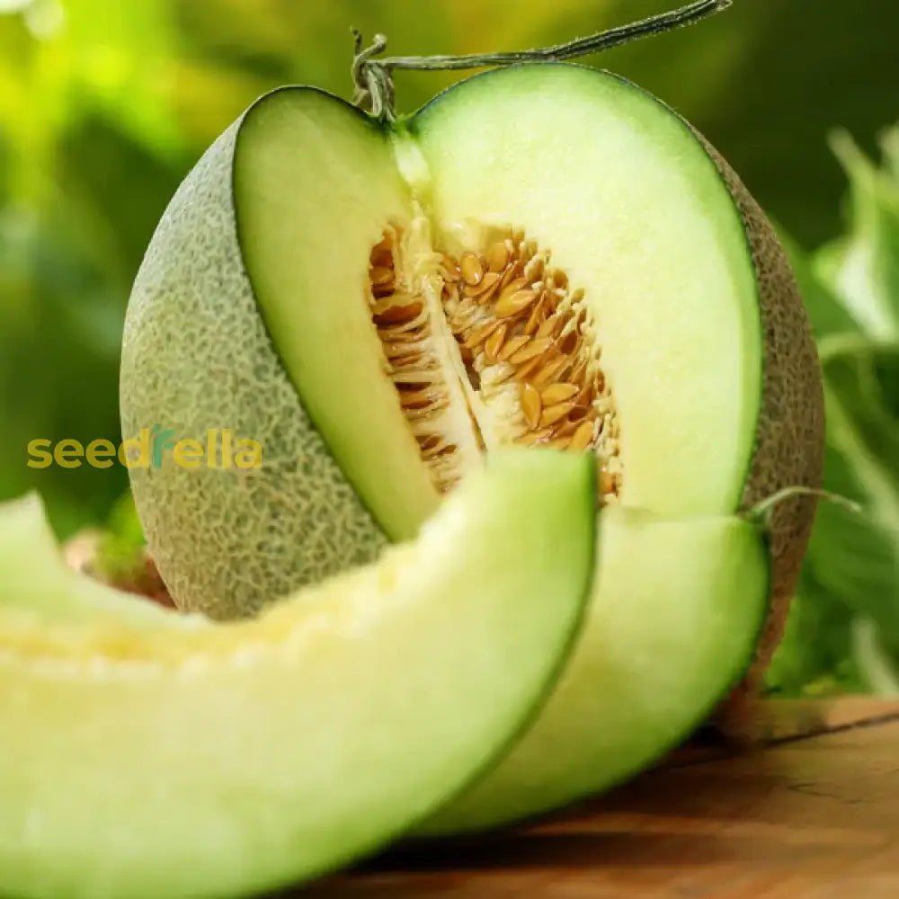Sweet Cantaloupe Rocky Ford Melon Seeds for Home Garden