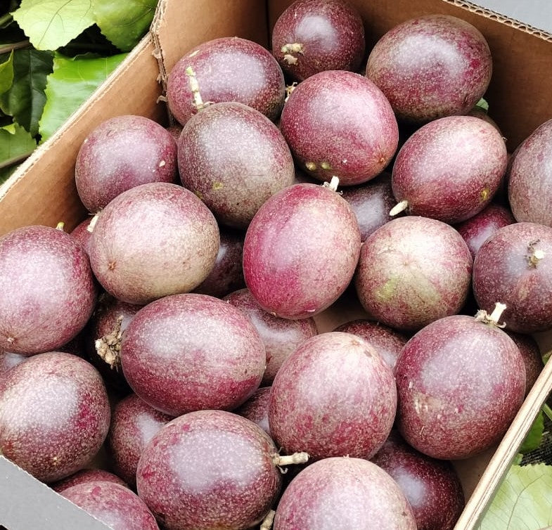 Sweet Dark Purple Passion Fruit Seeds for Home Garden