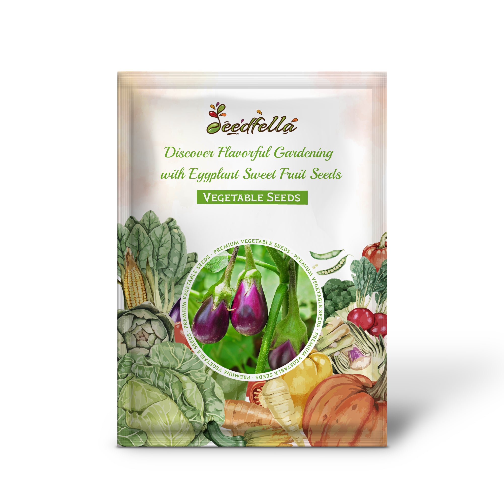 Sweet eggplant plants growing in garden beds