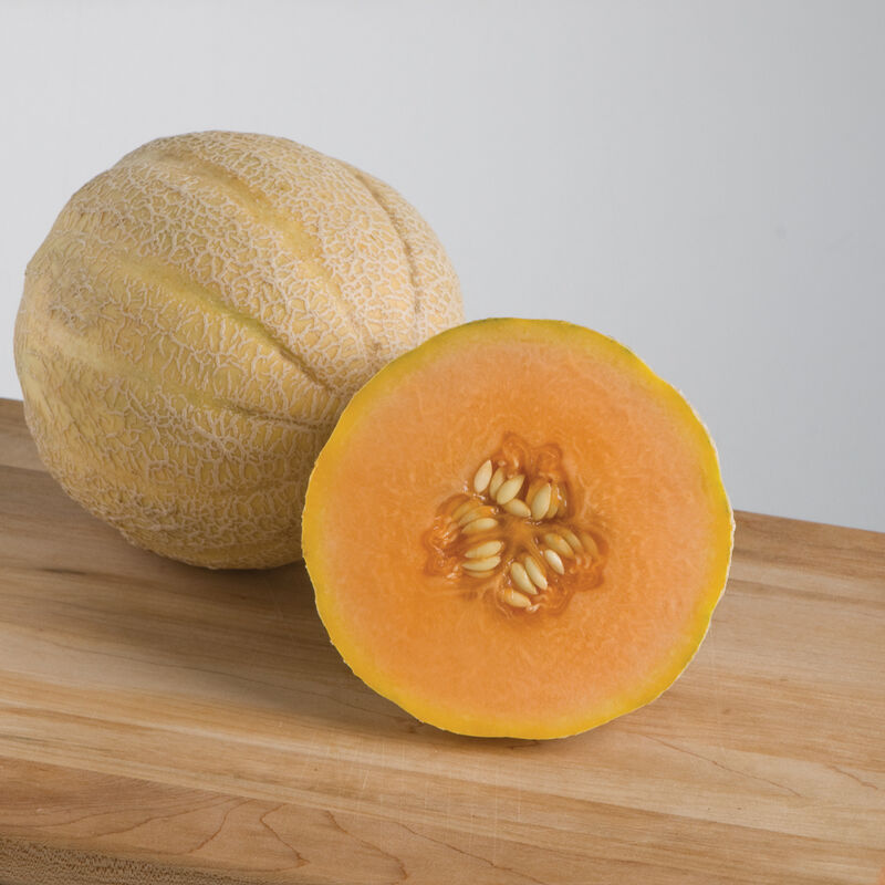 Sweet Halona Hybrid Melon seeds for planting