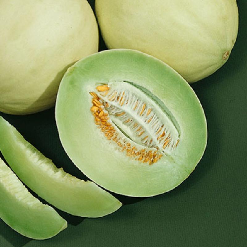 Sweet honeydew melon seeds for home garden fruit growing
