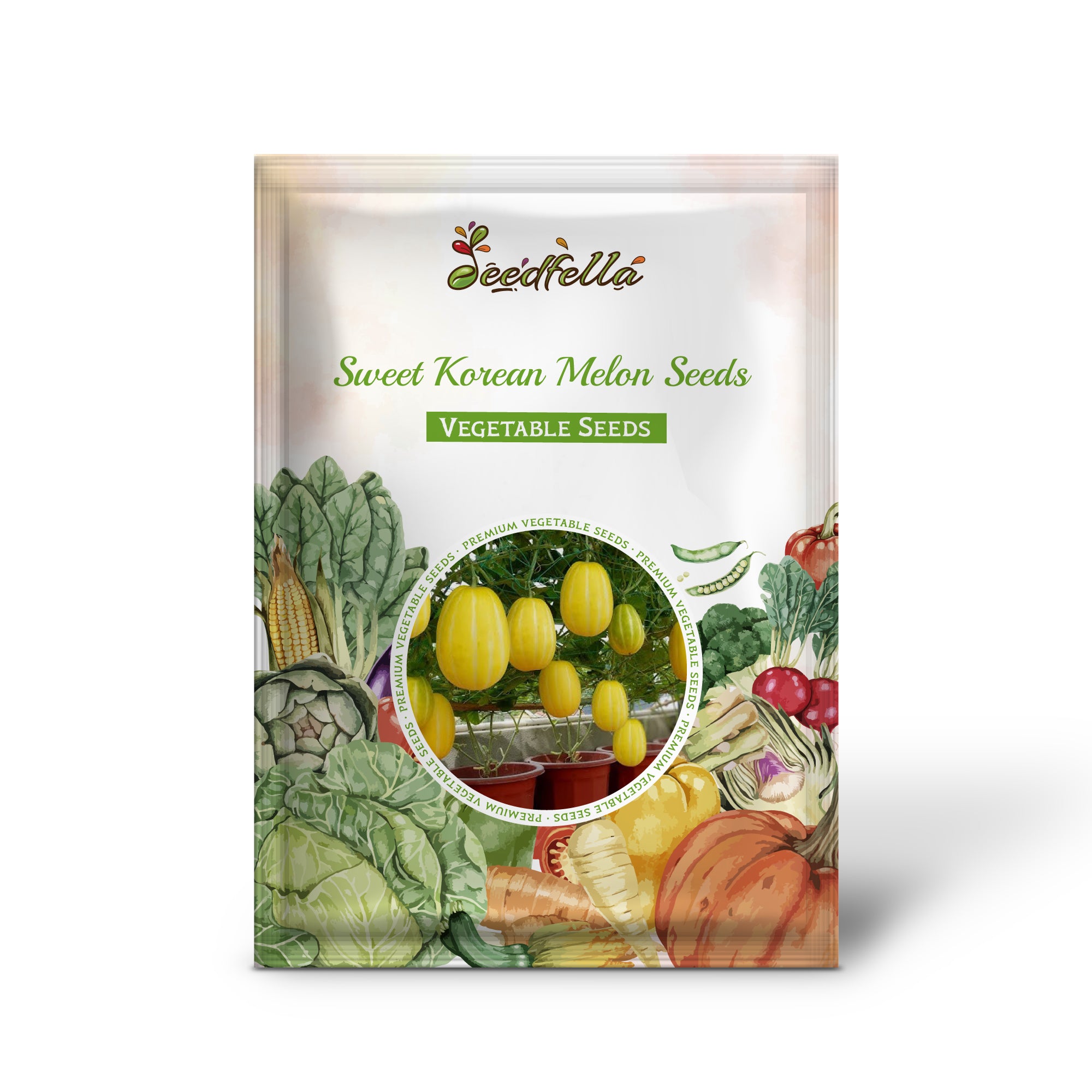 Sweet Korean melon seeds for home gardens