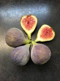 Sweet Madeira Fig Fruit Seeds for Home Garden