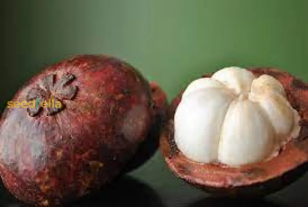 Sweet Mangosteen Tree Seeds for Home Garden