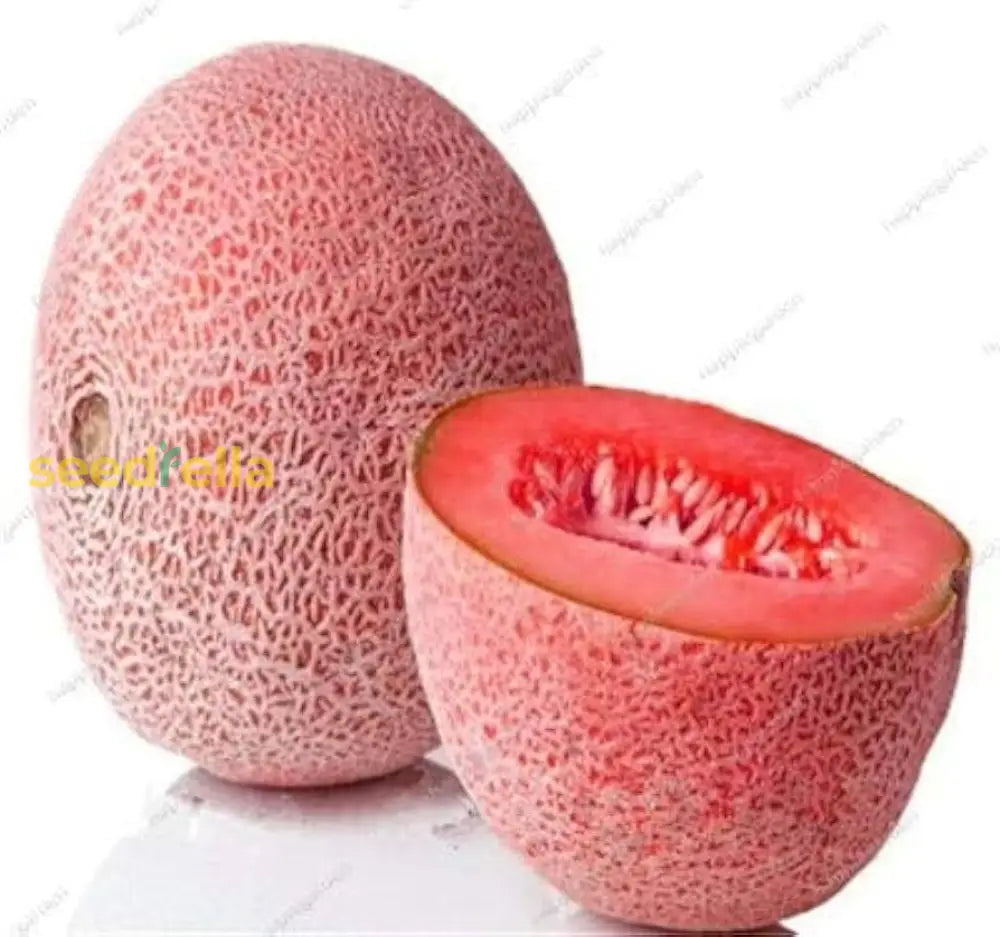 Sweet Melon Seeds Pink Cantaloupe for Easy Planting