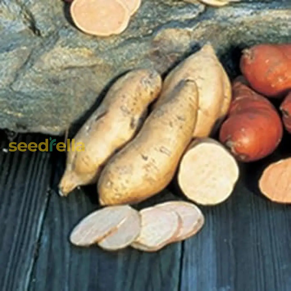 Sweet Potato Vegetable Seeds Planting Brown White