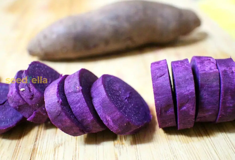 Sweet Potato Vegetable Seeds Planting Purple