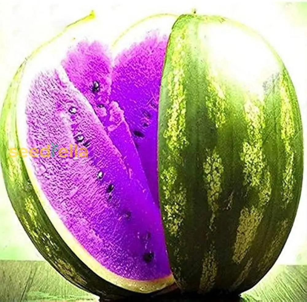 Sweet Purple Watermelon Seeds Easy Growing Variety