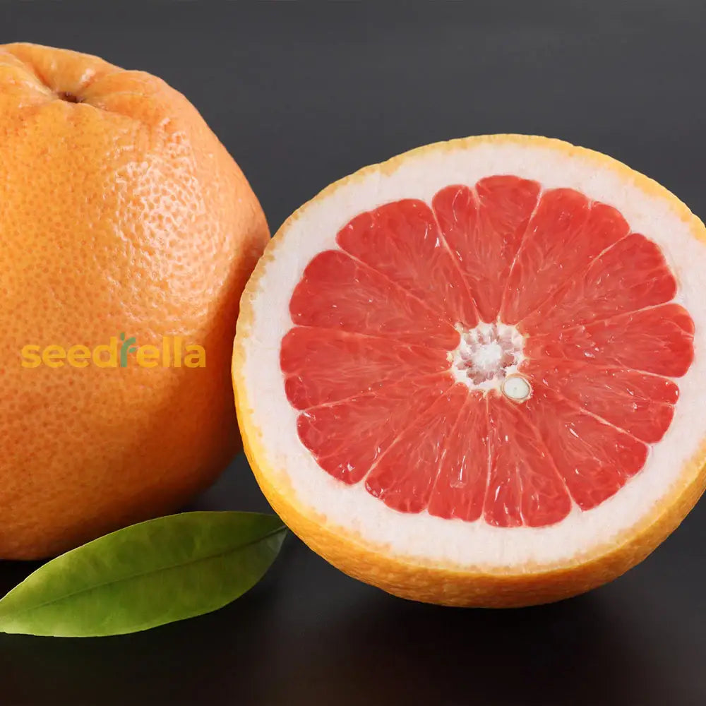 Sweet Red Grapefruit Seeds for Home Garden