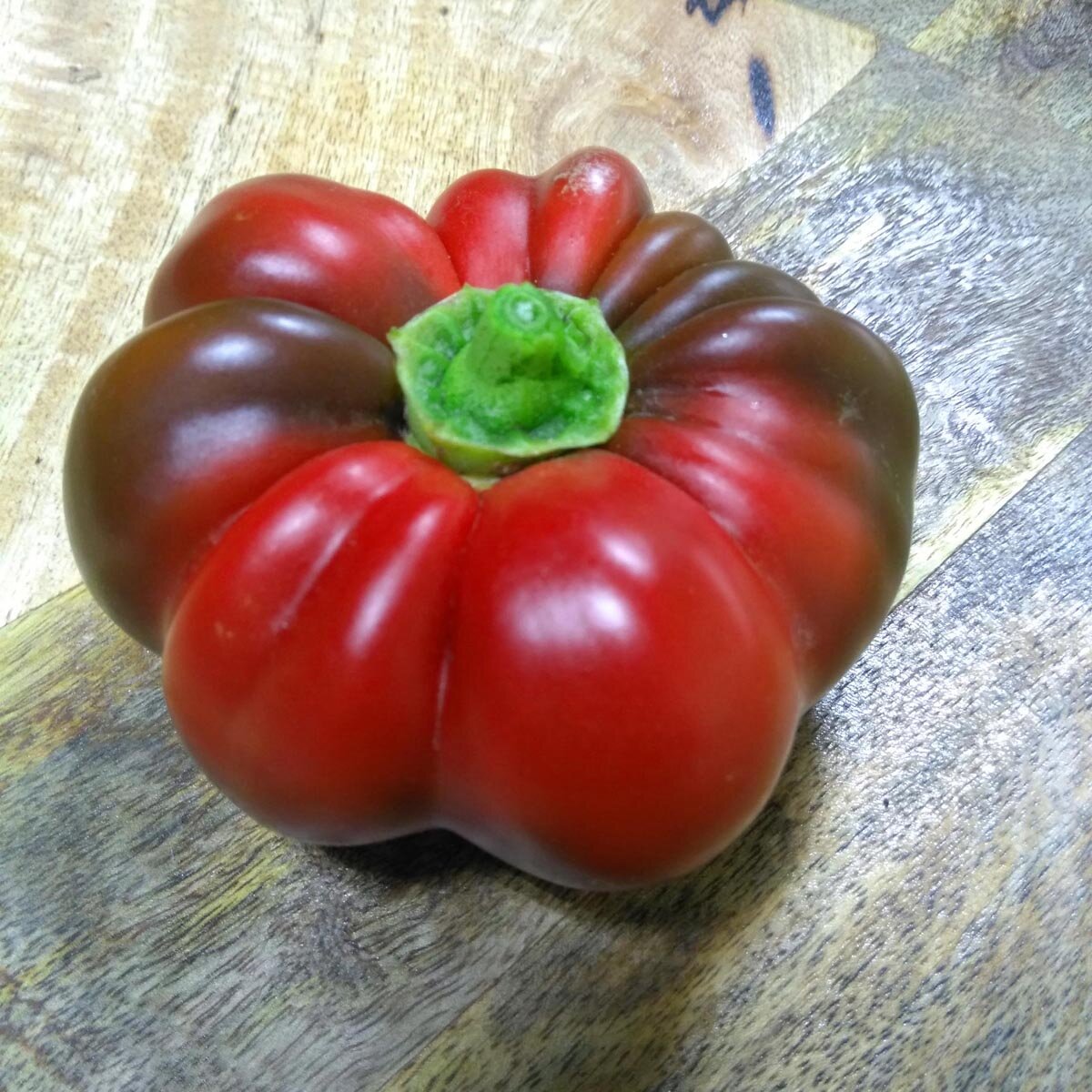 Sweet red Topepo Rosso pepper grown from seeds