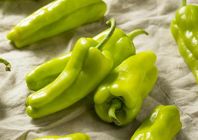 Sweet Romano Capsicum seeds ideal for backyard gardens