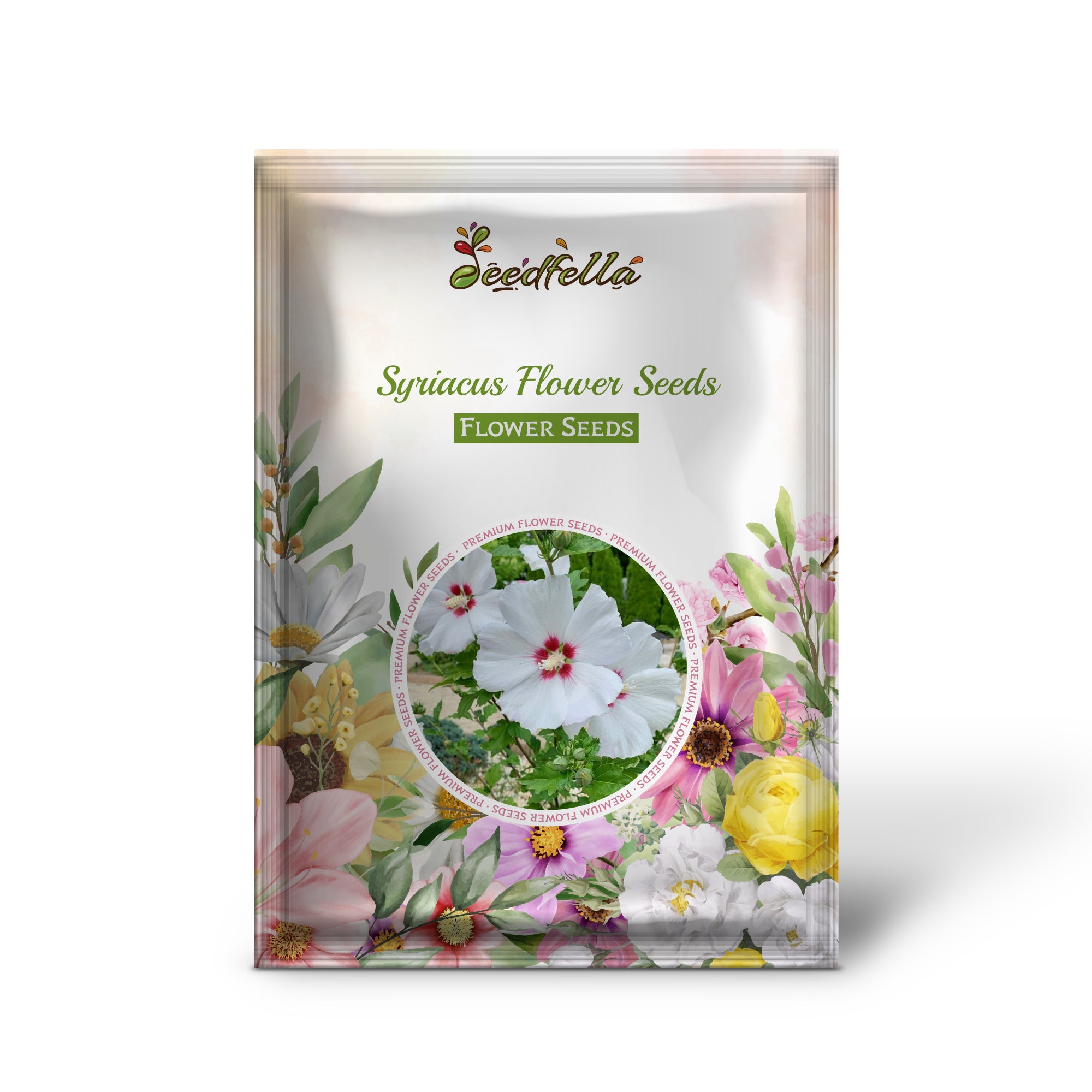 Syriacus Rose of Sharon seeds for colorful flowering shrubs