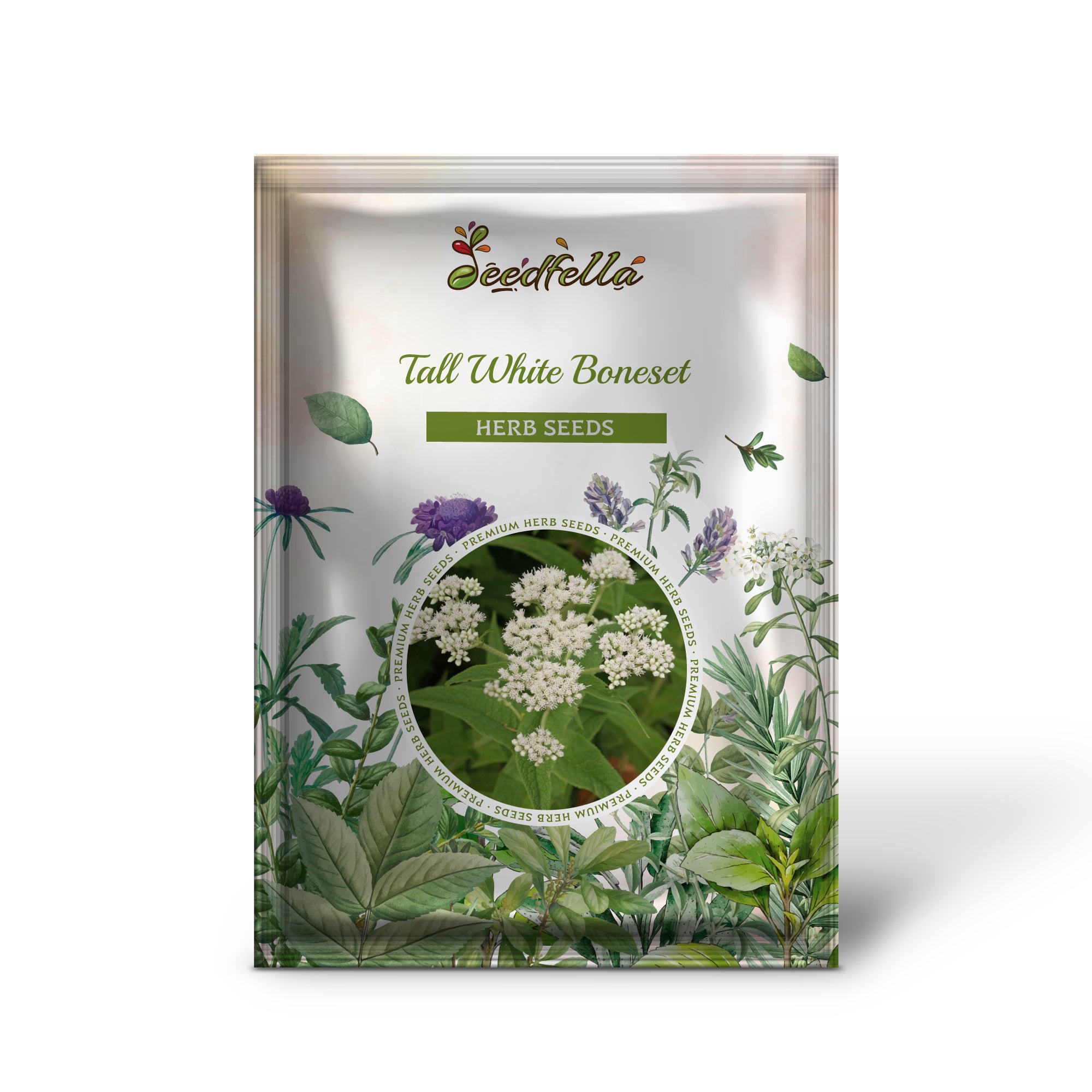 Native thoroughwort grown from Tall White Boneset seeds in US landscapes