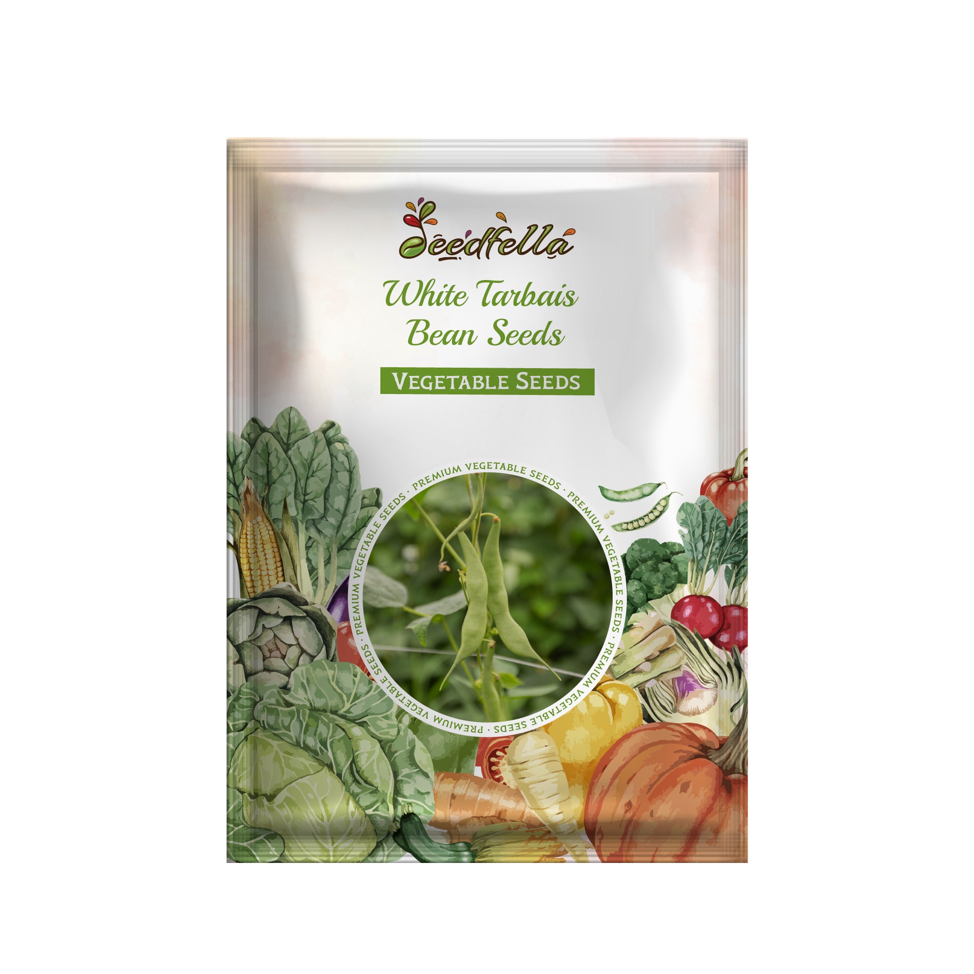 Tarbais bean plants growing in garden