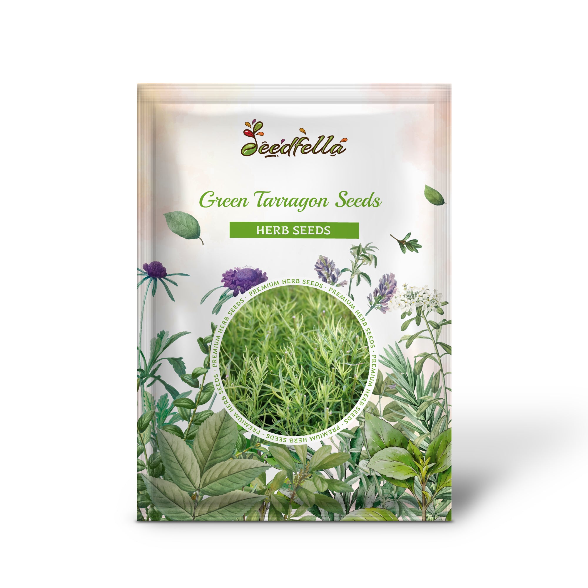 Tarragon Seeds – Non-GMO Green Herb for Cooking and Gardening