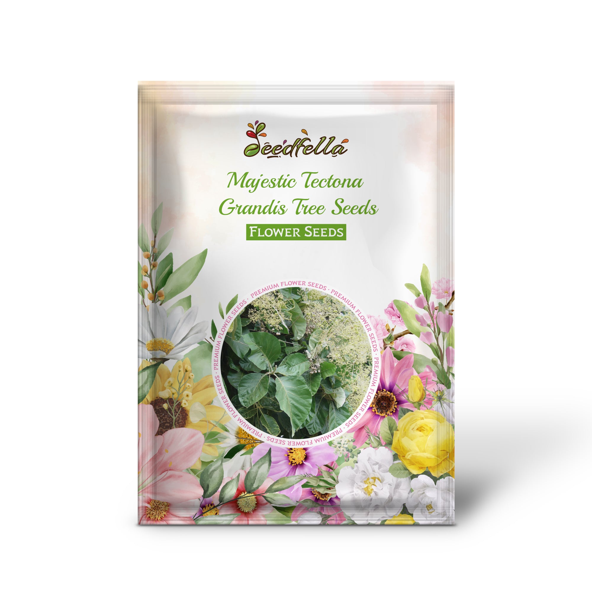 Premium Teak Tree Seeds for garden planting