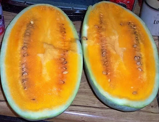 Tendersweet Orange Watermelon (Citrullus lanatus) seeds for planting