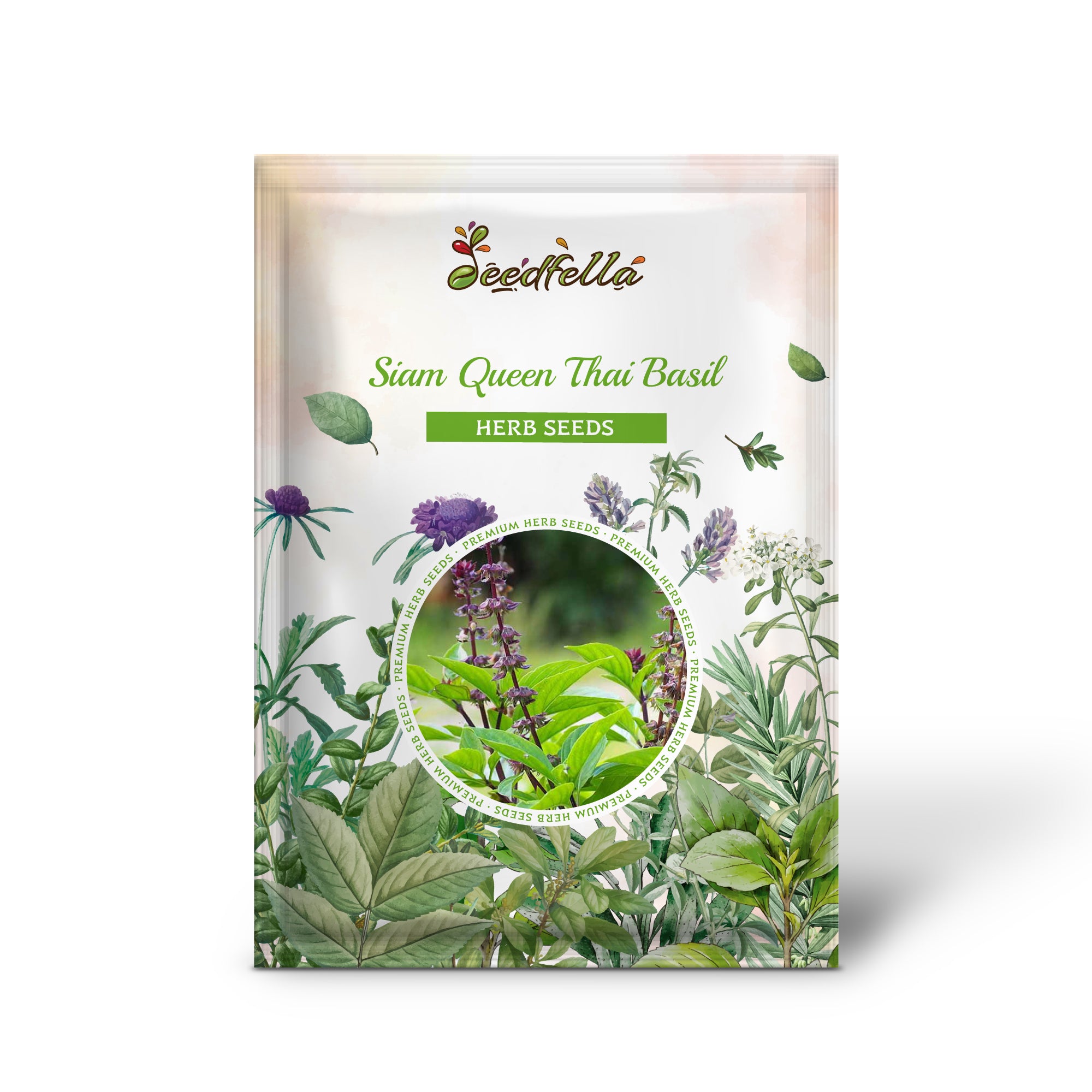 Non-GMO Thai Basil plants grown from Siam Queen seeds