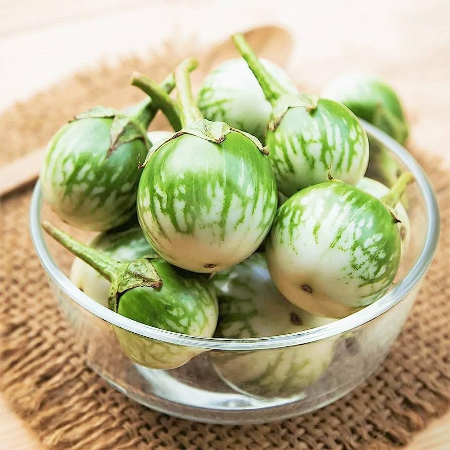 Thai Eggplant Petch Siam seeds (Solanum melongena) for home vegetable garden planting