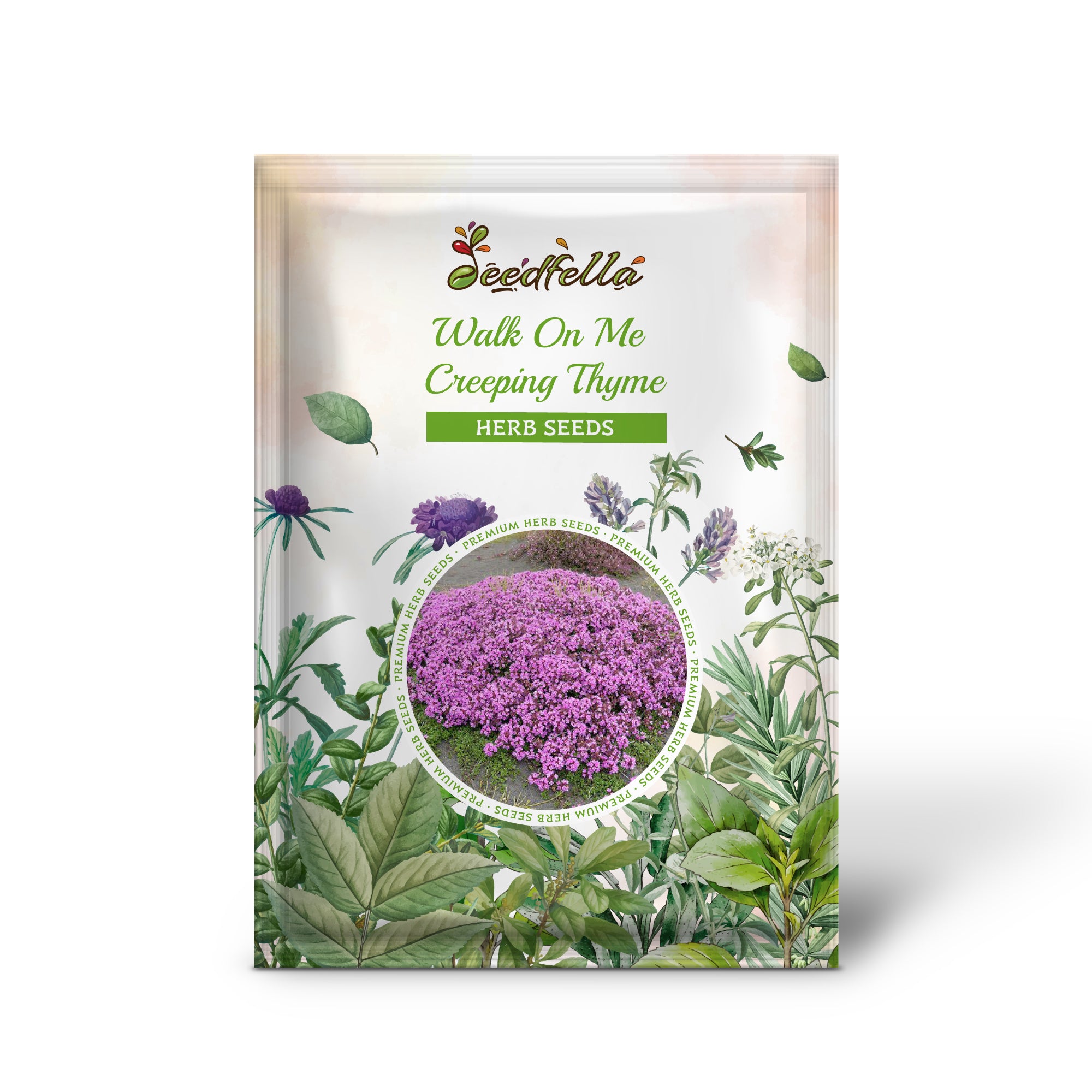 Premium Non-GMO Creeping Thyme Seeds Pack