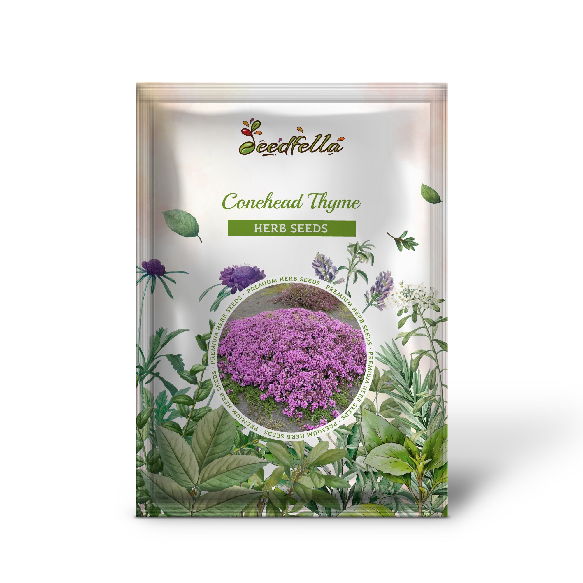 Close-up of Conehead Thyme seeds