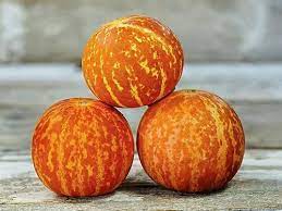 Tigger melon vine growing in garden bed