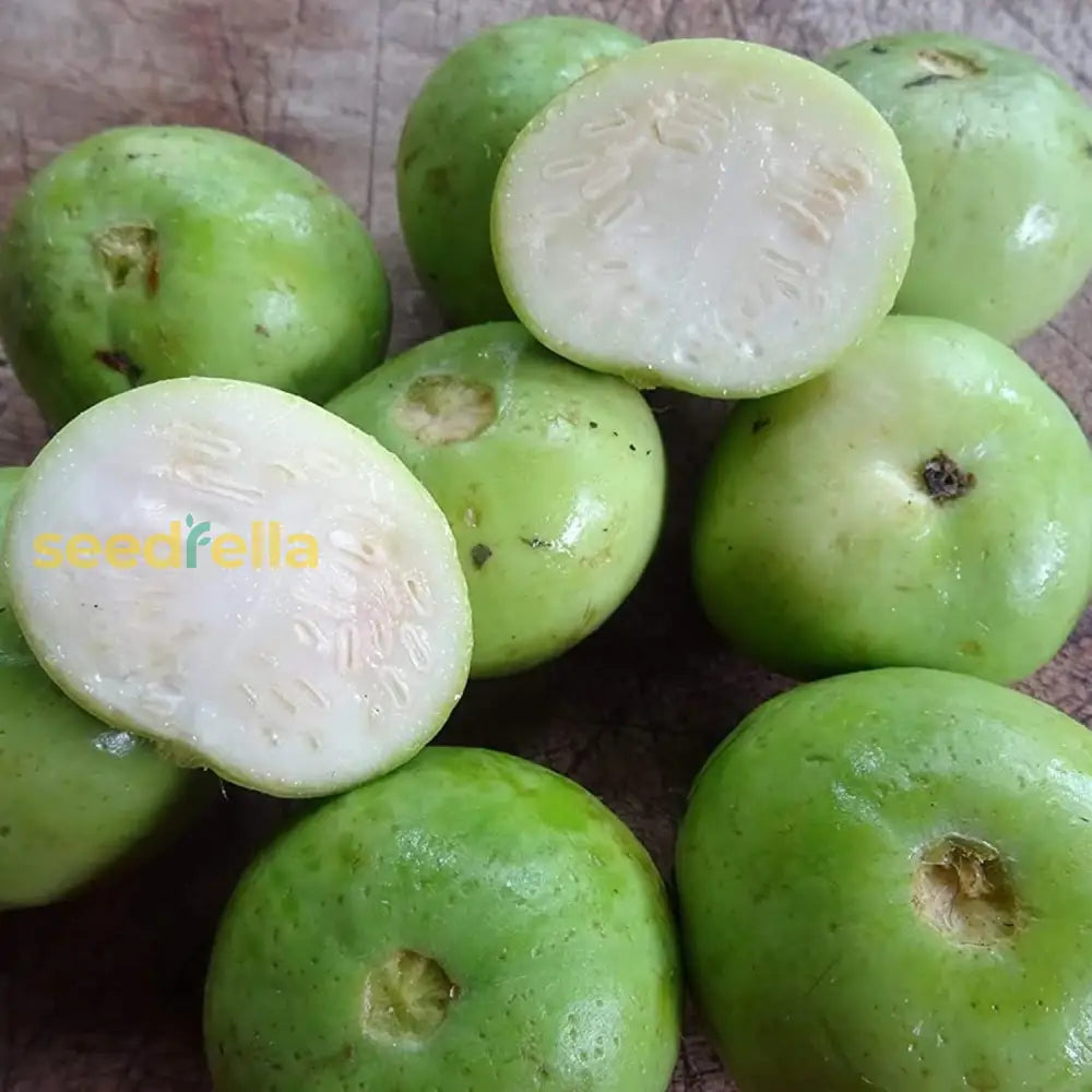 Tinda Gourd Seeds Apple Mild Slightly Sweet Flavor Tender Texture Trellis Fence Garden Outdoor