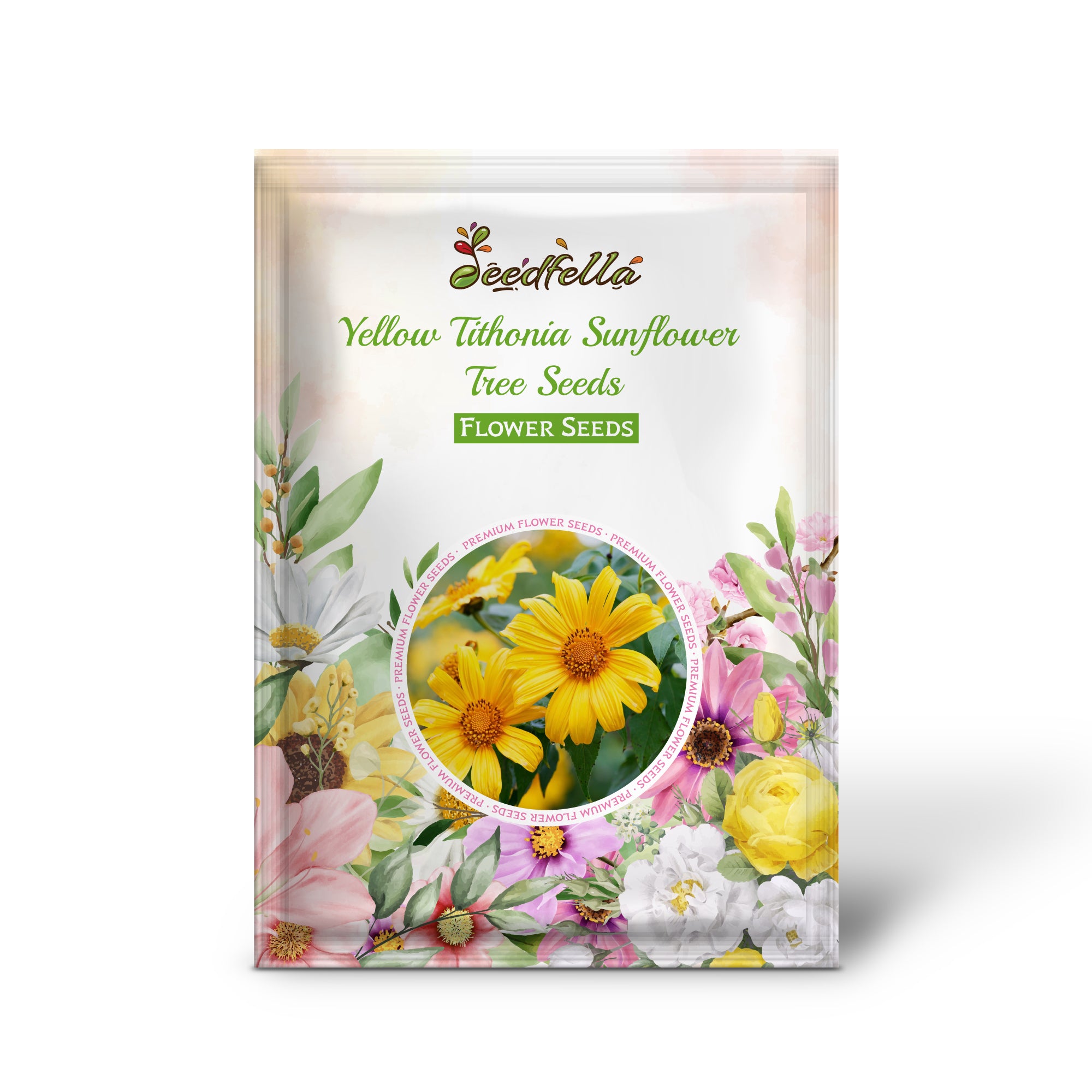 Tithonia diversifolia Yellow Sunflower Tree in bloom