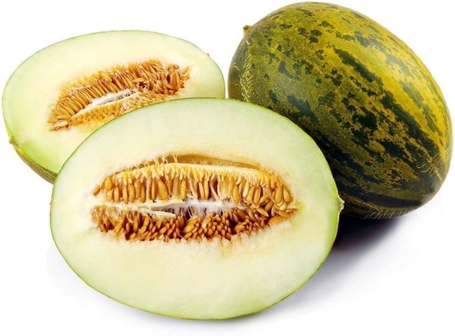 Toadskin melon seeds for planting