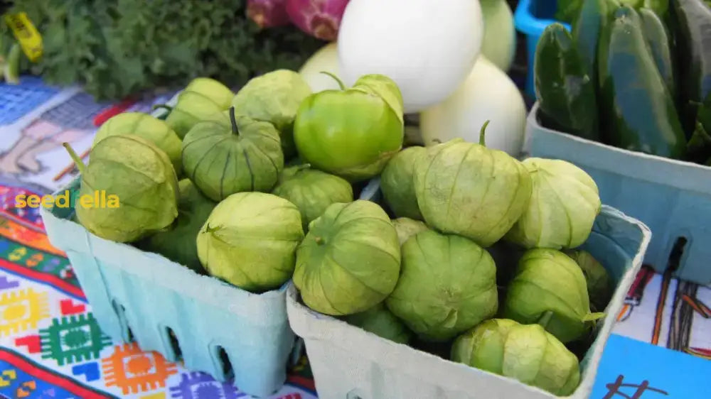 Tomatillo Fruit Seeds For Planting