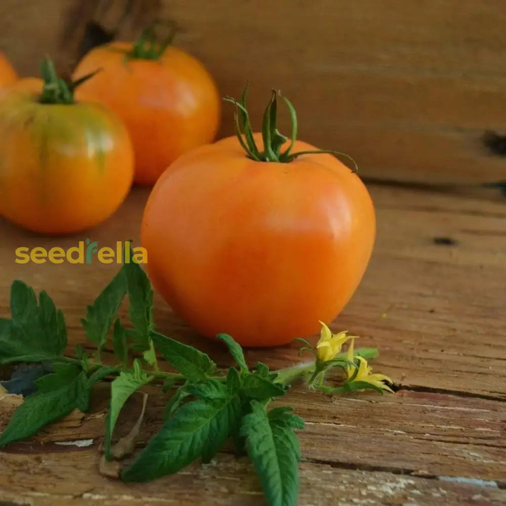 Tomato Orange Seeds For Planting: Quality Your Garden Vegetable Seeds