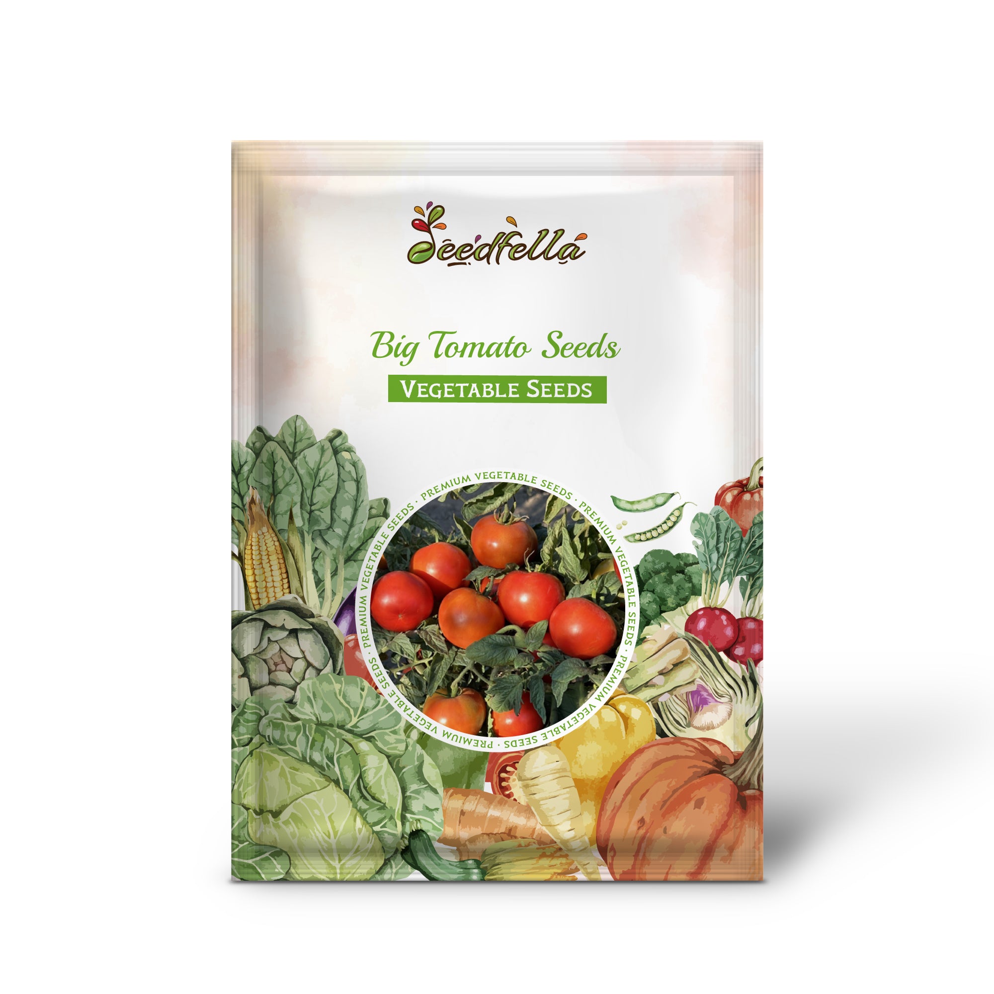 Tomato plants growing in full sun garden