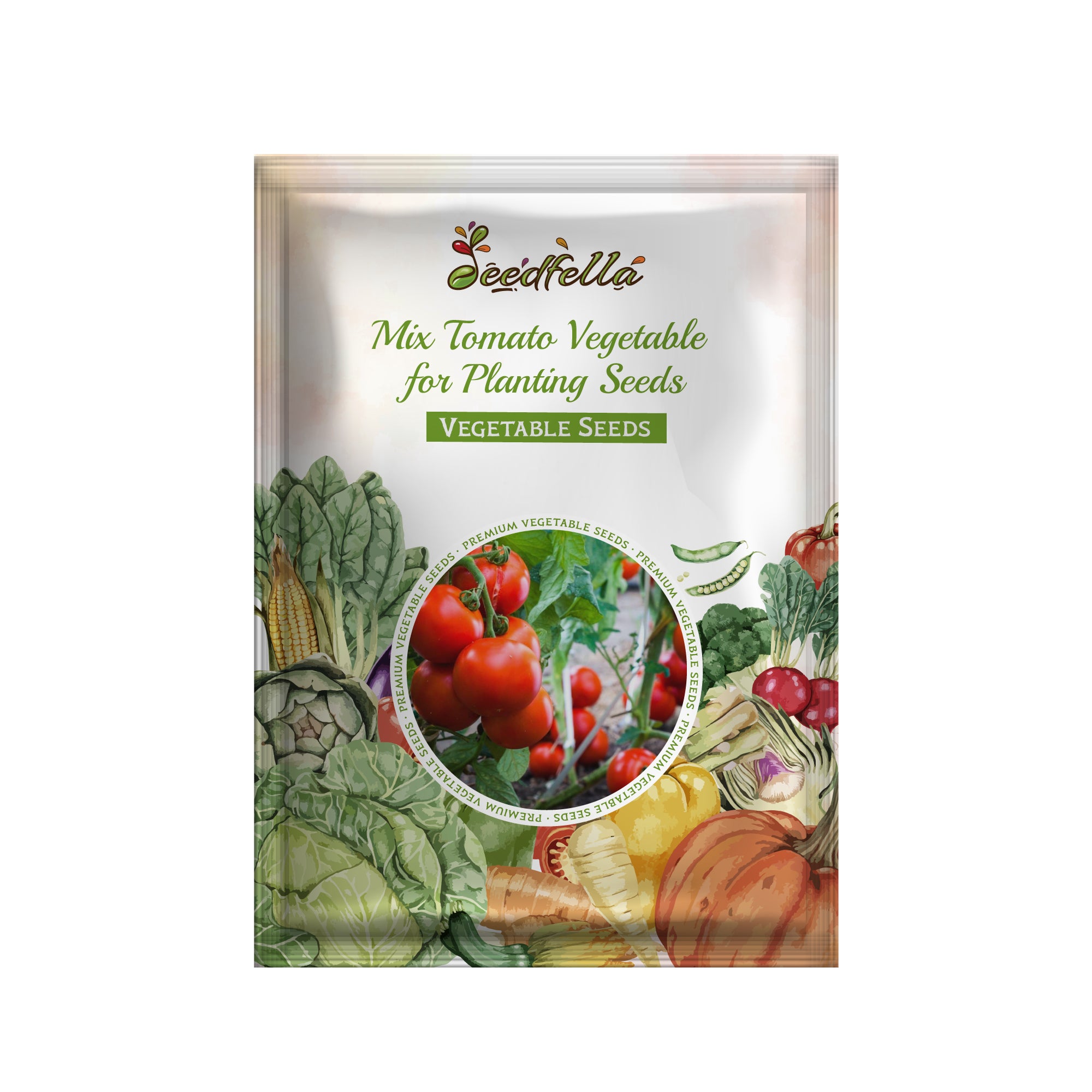 Tomato seedlings growing in garden