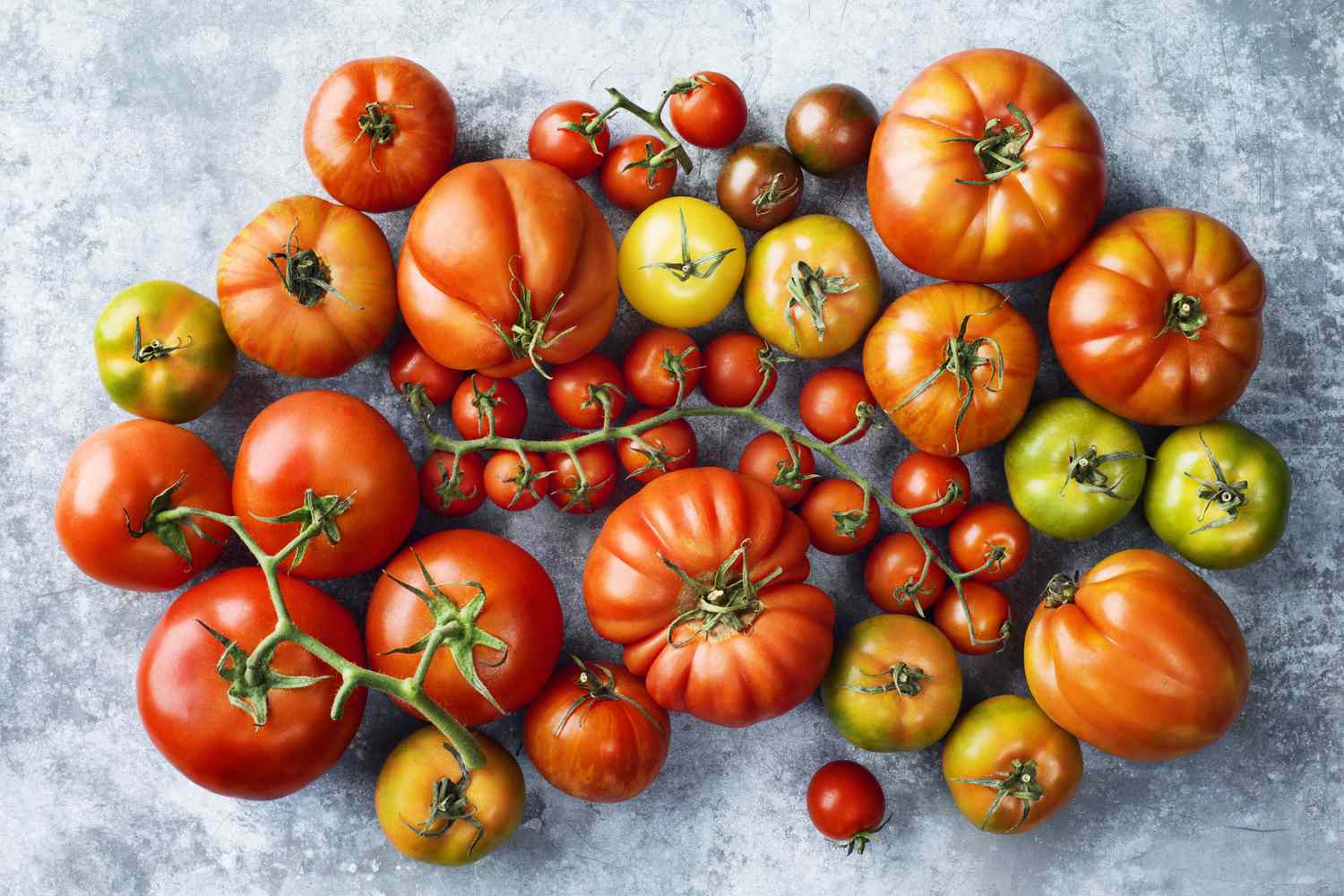 Mixed Giant Tomato Seeds For Planting - Discover A Variety Of Plants