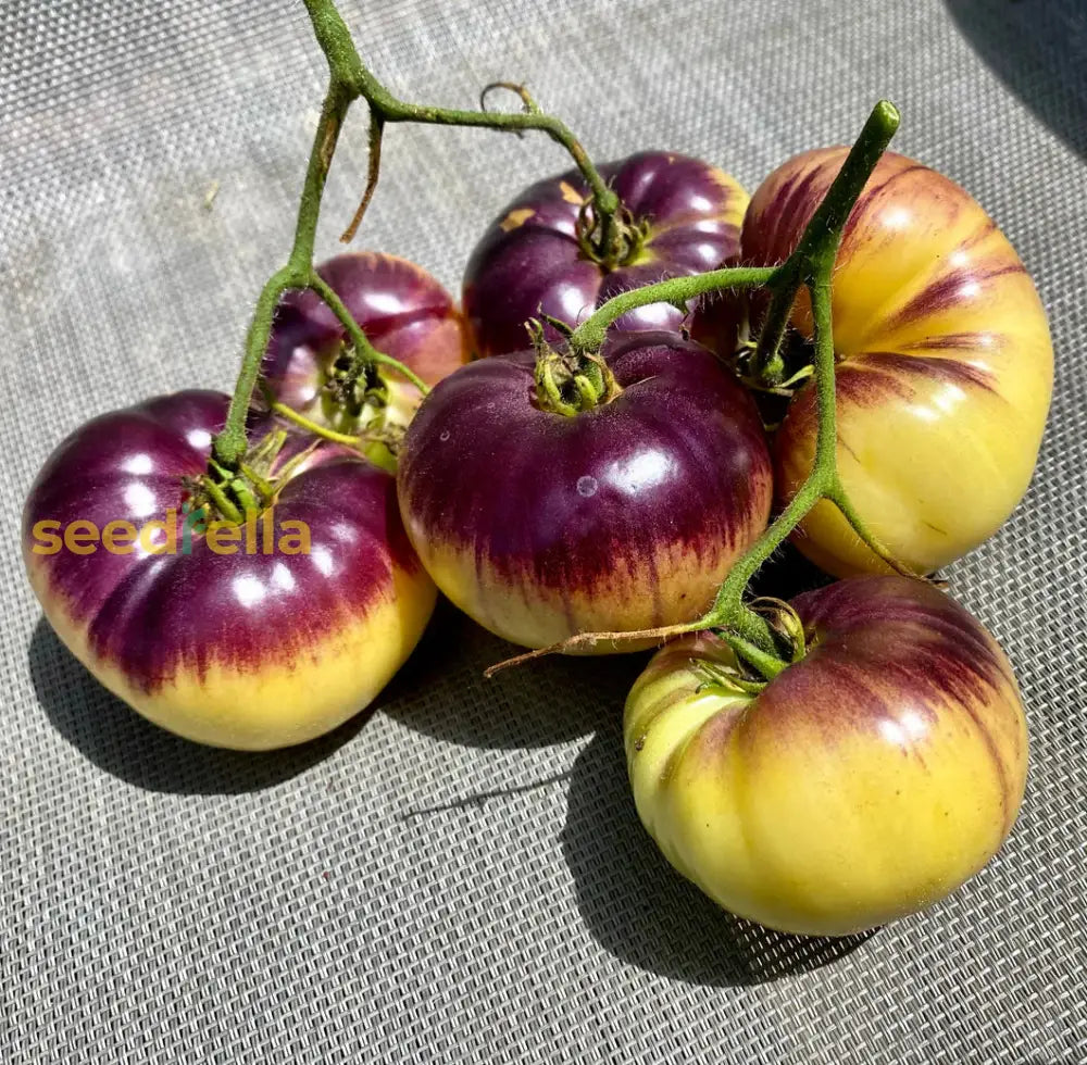 Tomato Vegetable Seeds For Planting Yellow And Black - Enjoy Vibrant Tomatoes In Your Garden Seed