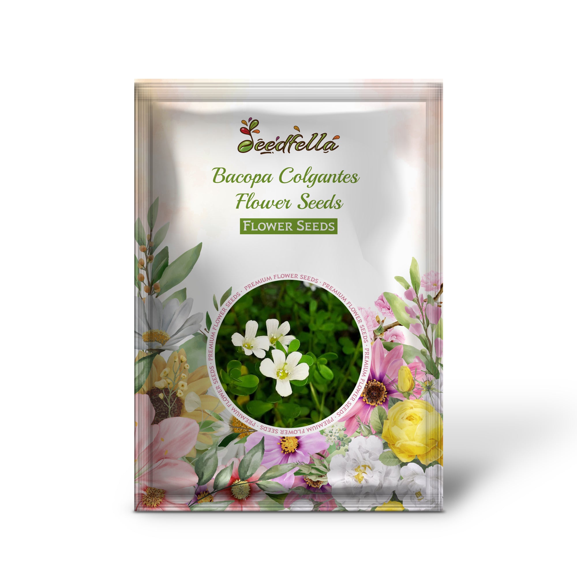 High quality Bacopa flower seeds for hanging baskets