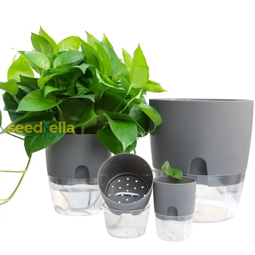 Transparent Double-Layer Self-Watering Flowerpot With Injection Port Garden Tools