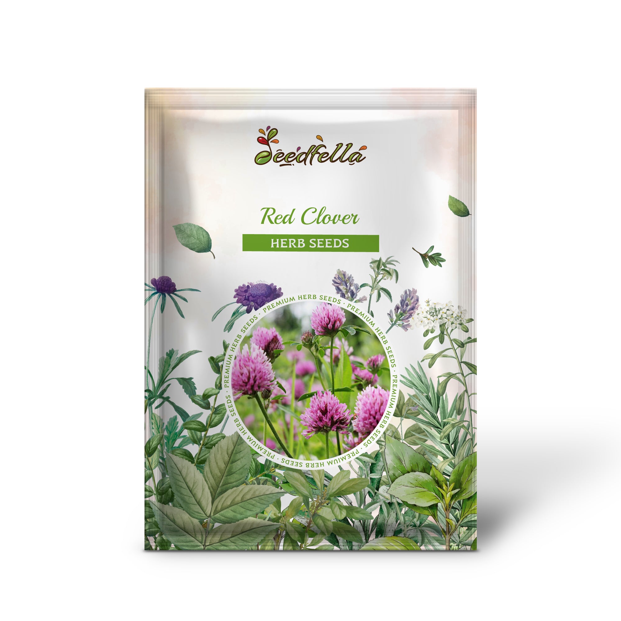 Trifolium pratense seeds with rose-mauve flowers