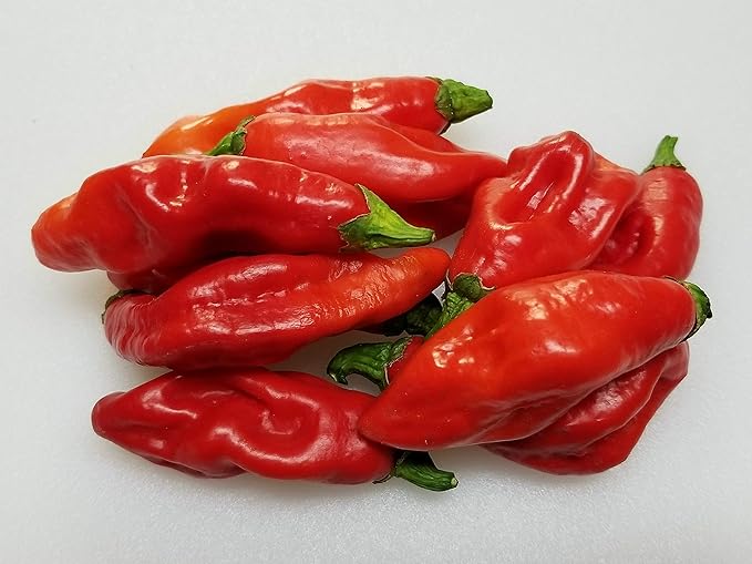 Trinidad Pimento pepper seeds for planting