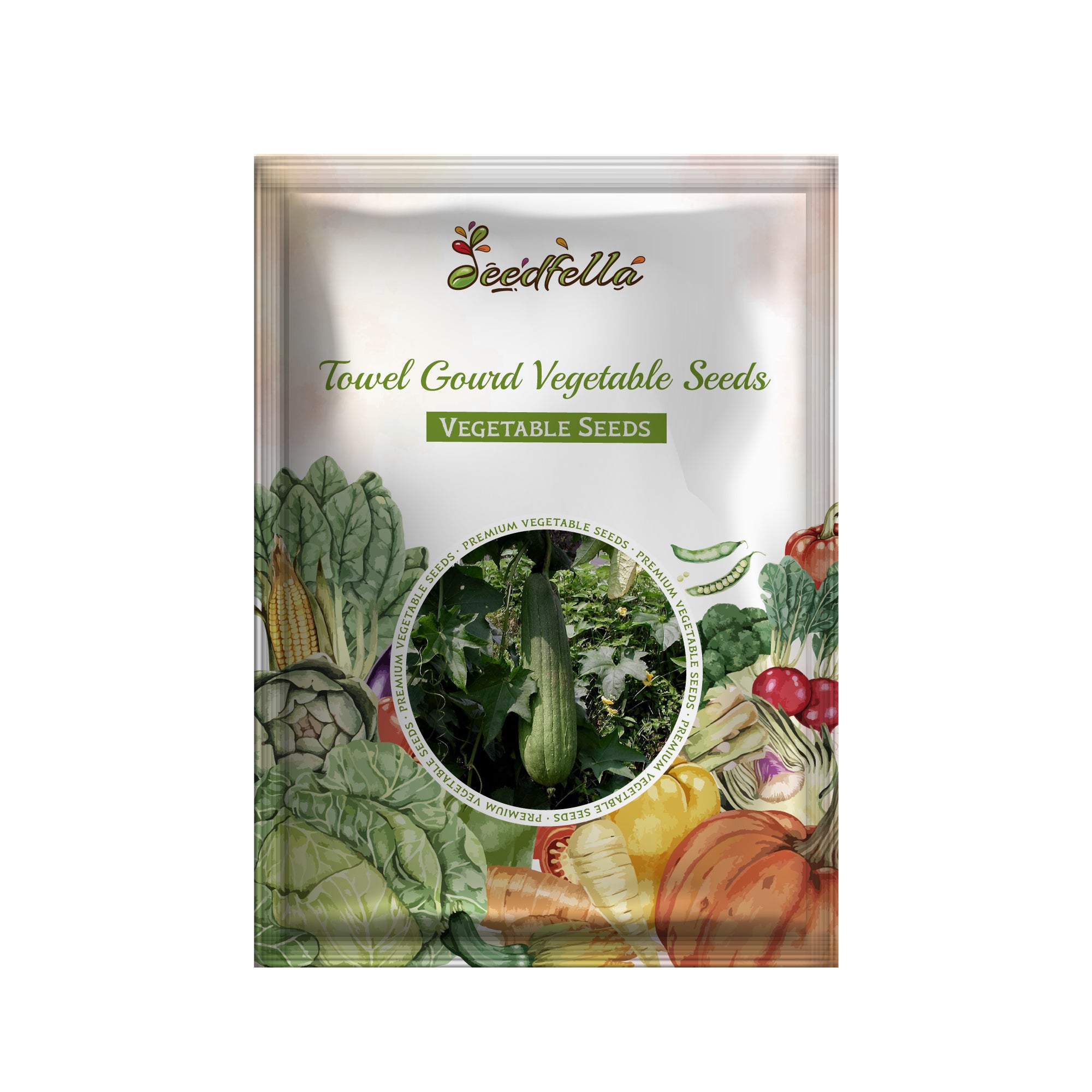 Trombocino squash plant growing in garden