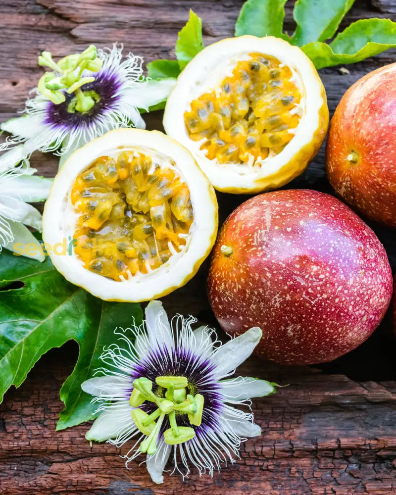Tropical Dark Purple Passion Fruit Seeds Easy Growing