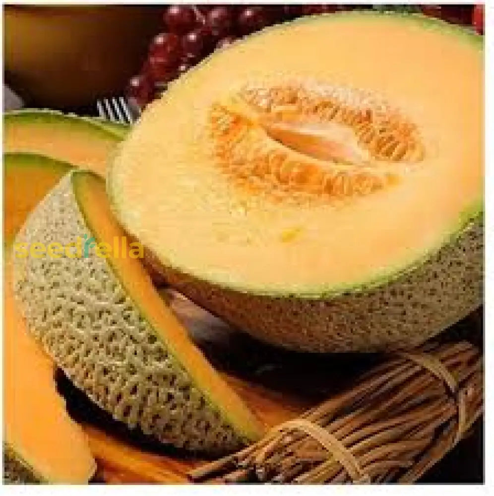 Tropical Melon Seeds Light Orange Cantaloupe for Home Garden